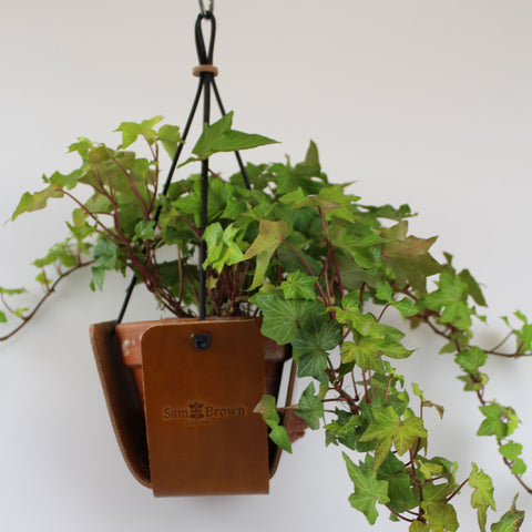 Tan Leather plant pot hanger  with Ivy plant (not included)Height 11cm Width 7cm. Holds pot 9cm diameter. Made in Wiltshire UK BY Sam Brown London