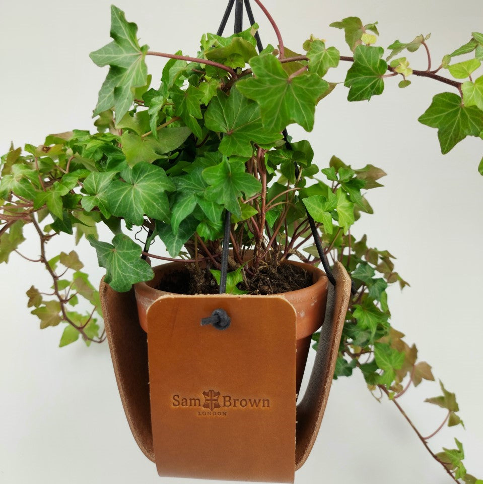 Tan Leather plant pot hanger  with Ivy plant (not included)Height 11cm Width 7cm. Holds pot 9cm diameter. Made in Wiltshire UK BY Sam Brown London